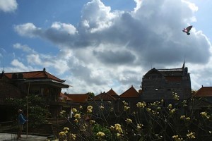 Balinese man flying a kite shot from my balcony